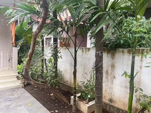 Jardim