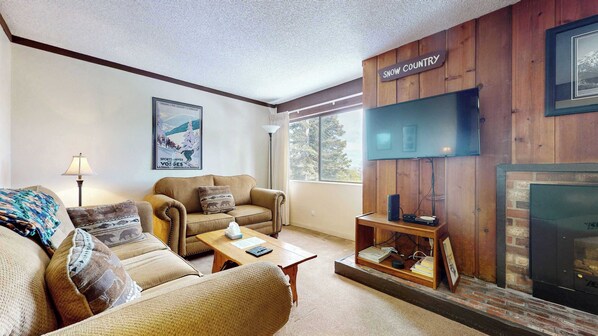 Fernseher, Kamin, DVD-Player, Arbeitsbereiche