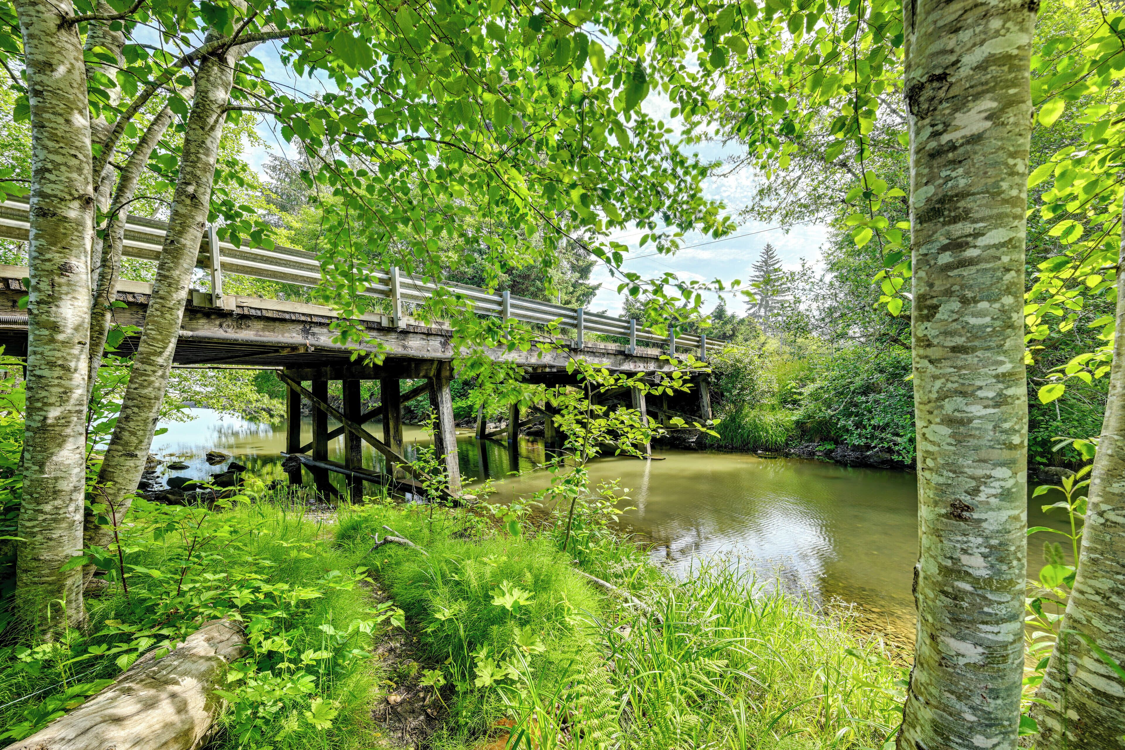A wooden bridge over a river, surrounded by lush greenery and trees.