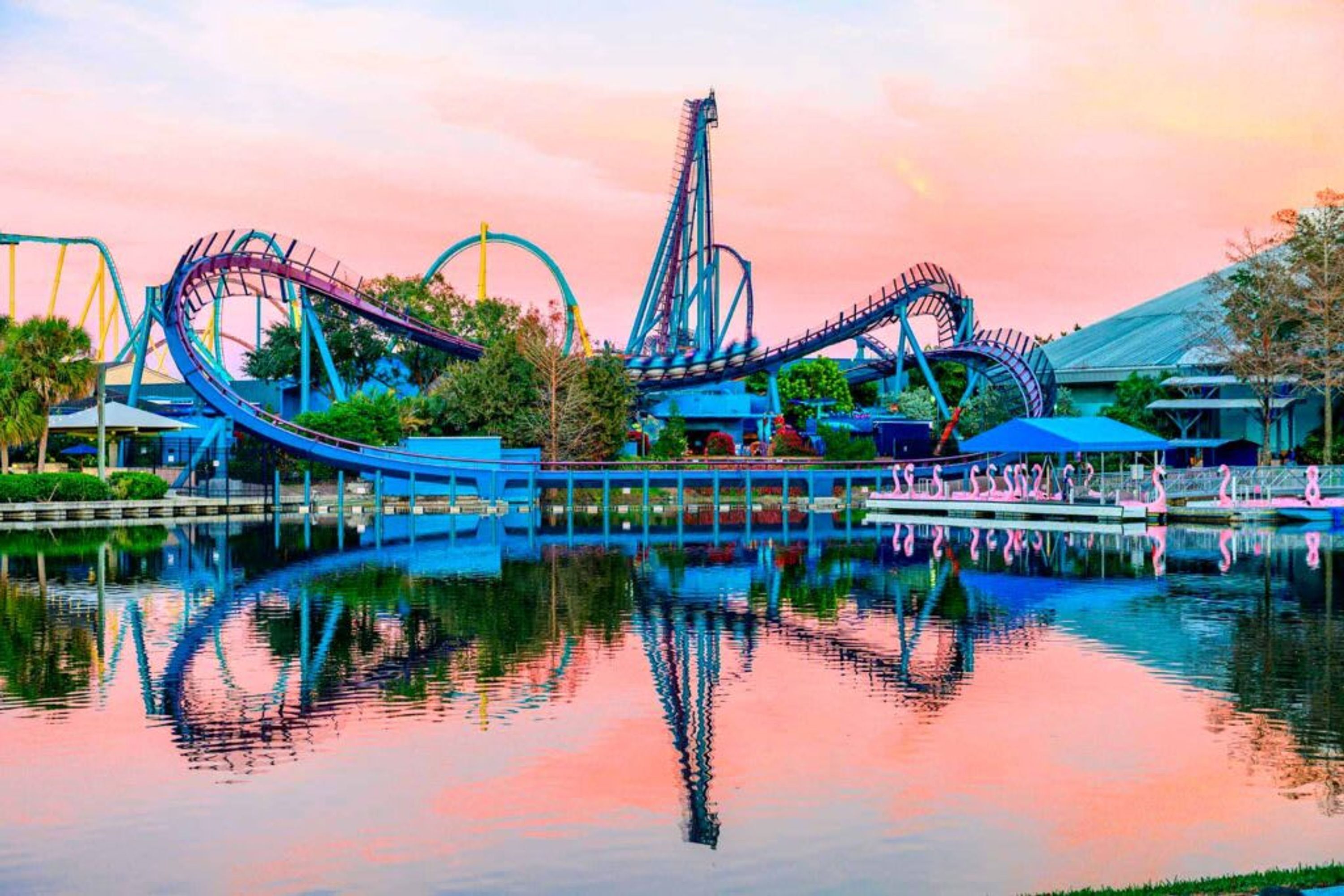 6 sovrum och internet