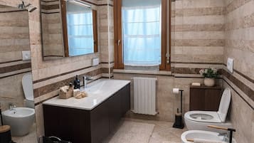Shower, hair dryer, bidet, towels