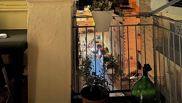 Une terrasse sur le toit offrant une vue sur les feux d’artifice au loin, une plante en pot et une bouteille verte.