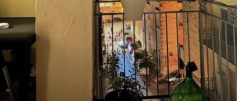 المنطقة المحيطة بالمنشأة