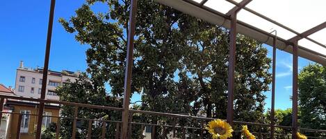 Appartamento Standard, balcone | Terrazza/patio