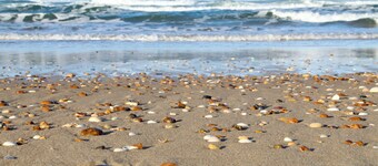 Wellness cottage in the woods. Close to sandy beaches. Private terrace with jacuzzi.