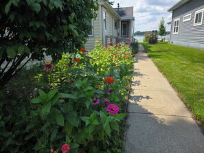 A residential street with houses, a sidewalk, and a garden with various flowers.
