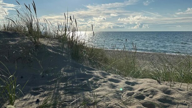A beach with sand dunes and grasses, a clear sky, and the ocean. - 5 Star Holiday Home in Liseleje (Liseleje)