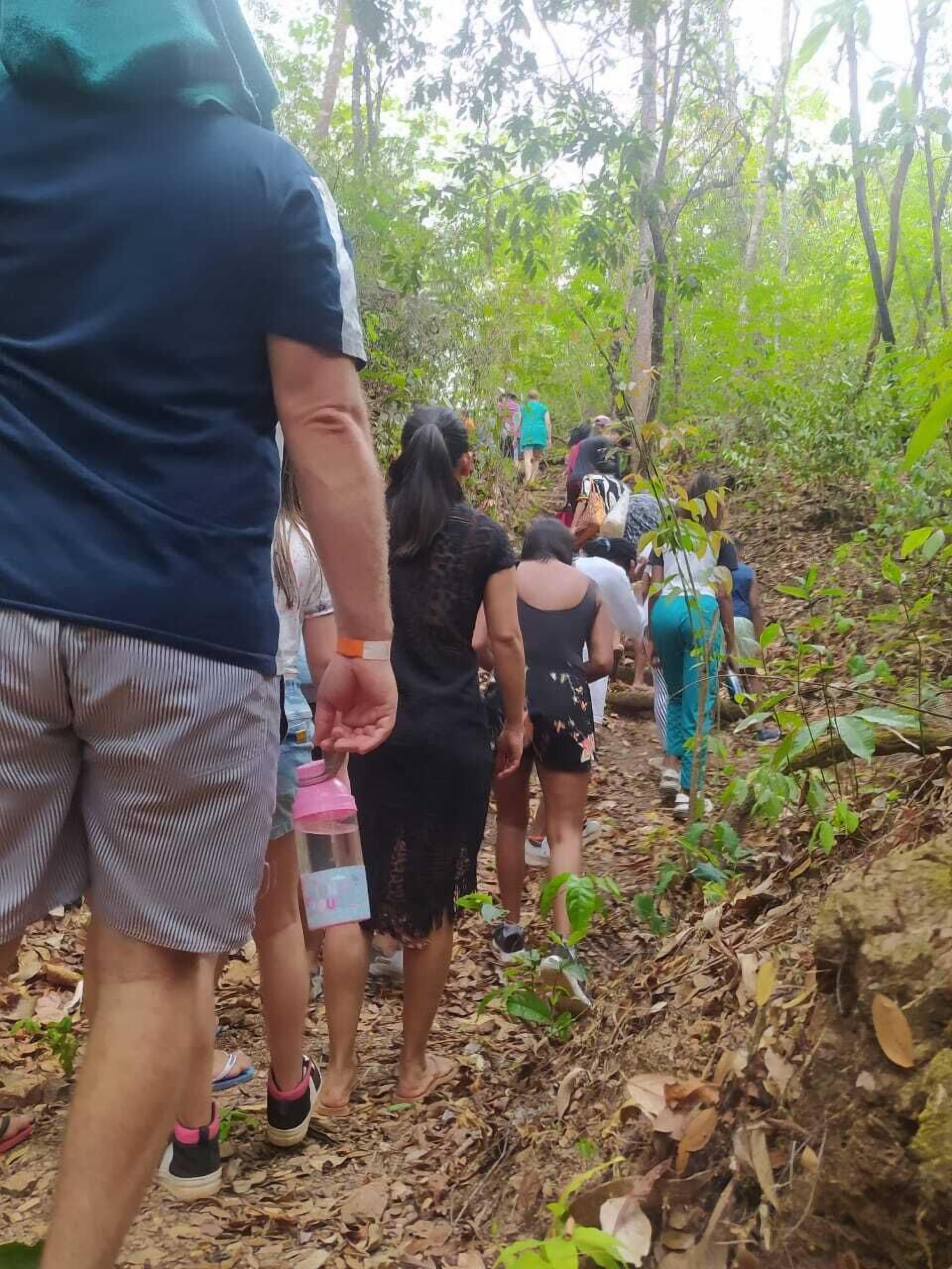 Un grupo de personas caminando por un sendero en el bosque.