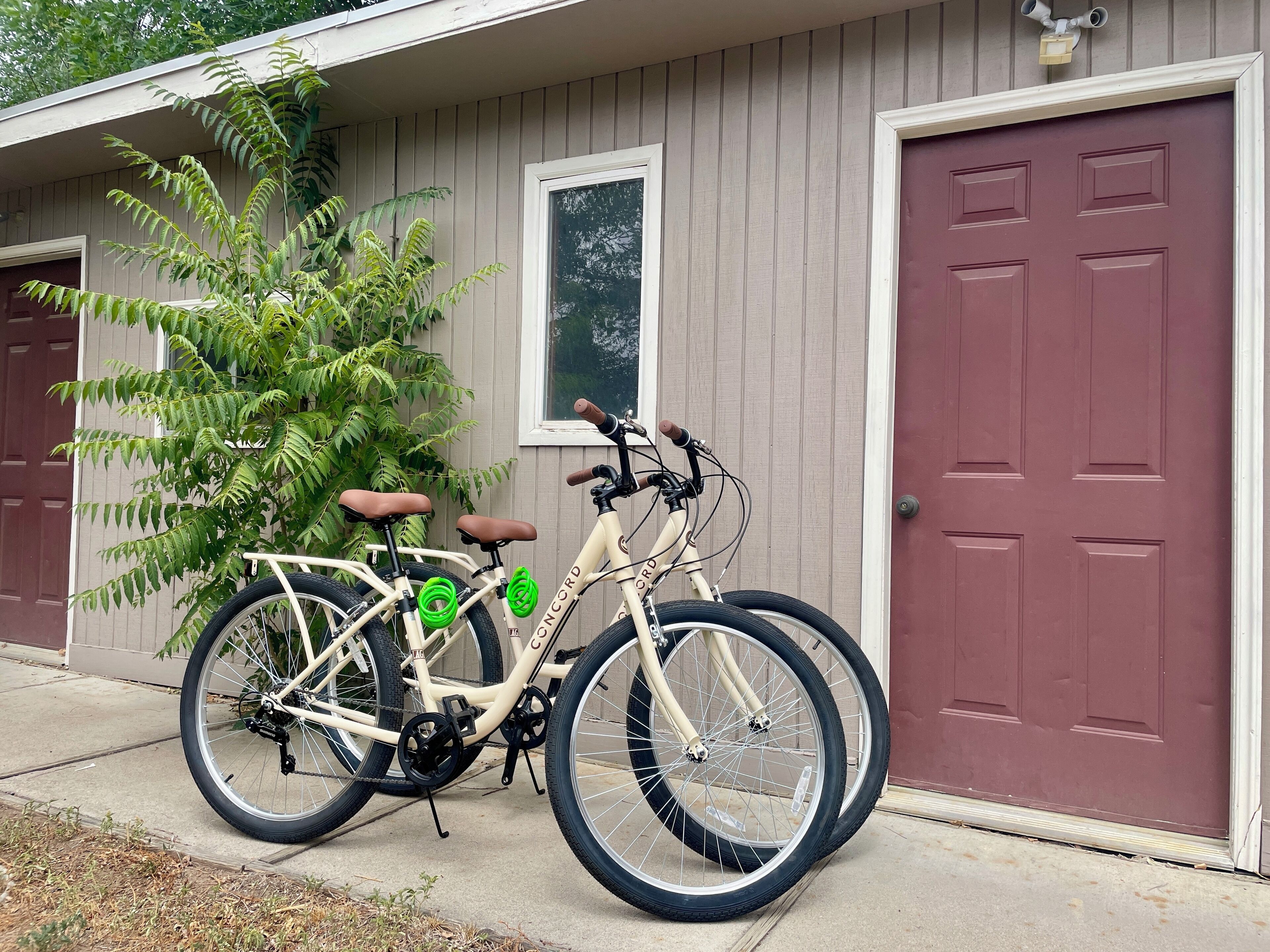 Una bicicleta color beige con neumáticos verdes estacionada frente a una casa con puerta marrón y ventana.