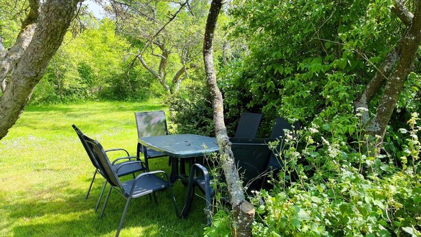 Un espace extérieur aménagé avec une table et des chaises, entouré d’une végétation luxuriante et d’arbres.