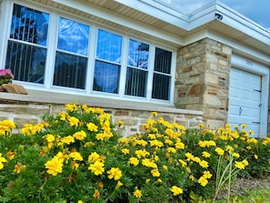 Exterior detail