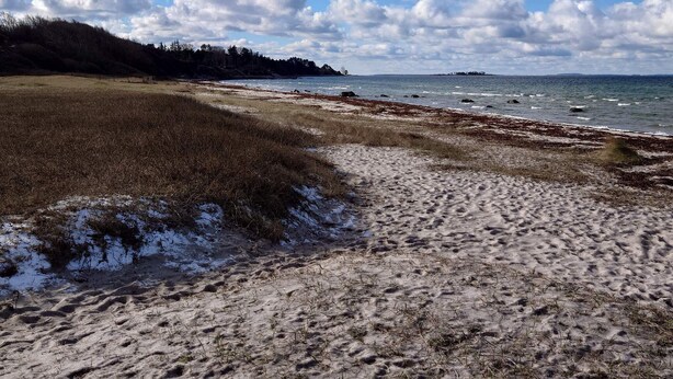 A beach with a sandy shore, a grassy area, and a view of the sea under a partly cloudy sky. - 8 Person Holiday Home in Jaegerspris (Jægerspris)