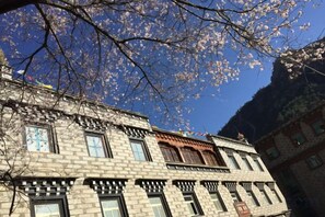 Un edifici amb nombroses finestres i estil arquitectònic tradicional.