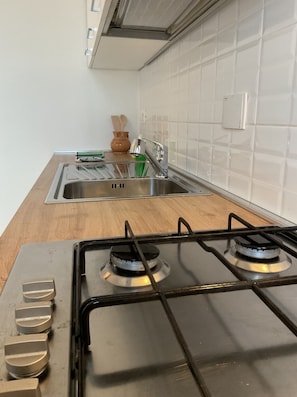 Classic Apartment, Balcony, City View | Private kitchen | Full-sized fridge