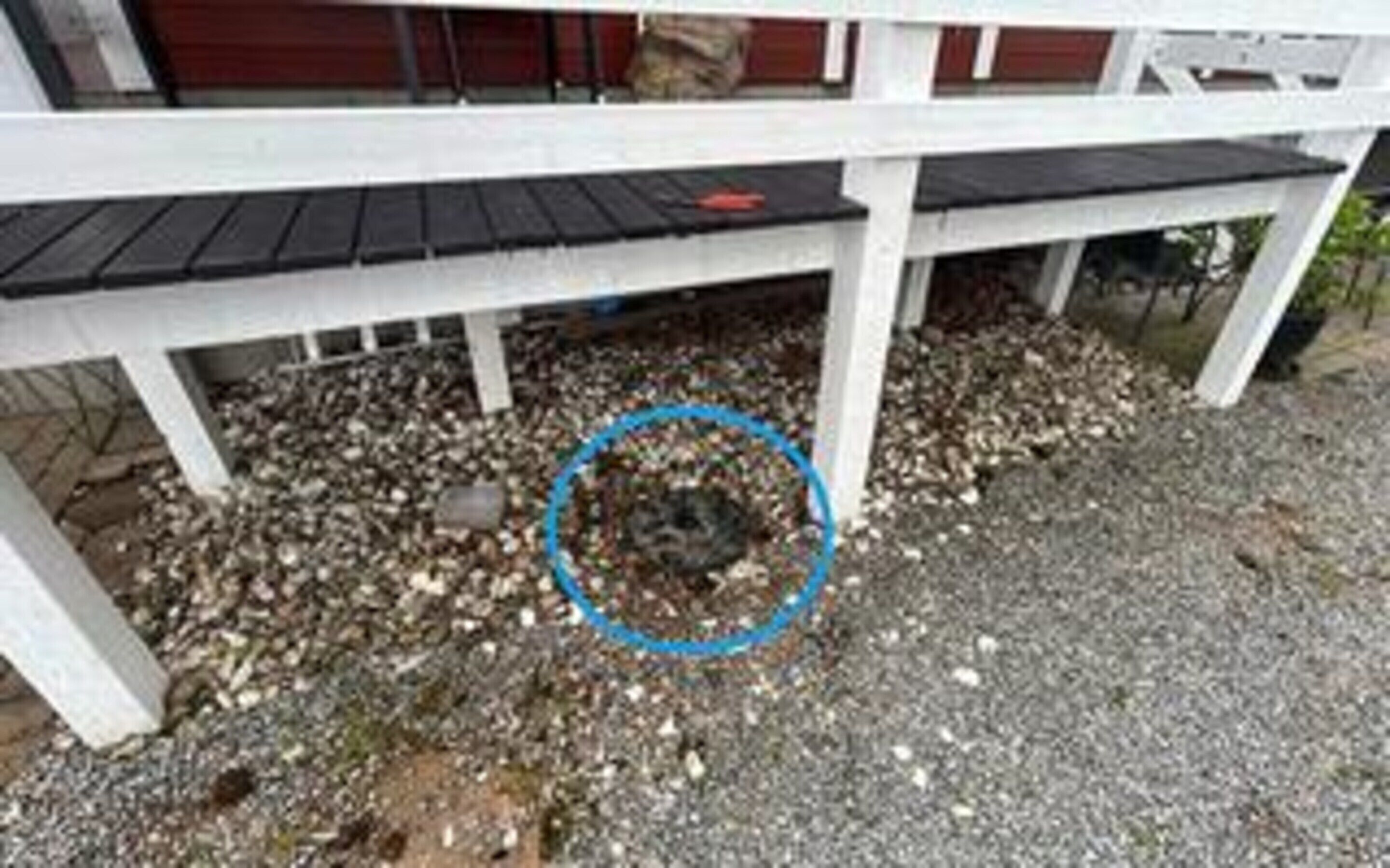 Egy fehér épület, fekete tetővel és kavicsos talajjal.