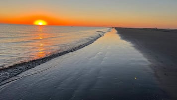 Nhà | Quang cảnh mặt nước