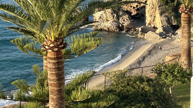 Une vue sur la côte, avec des palmiers, une plage rocheuse et une mer bleue et limpide.