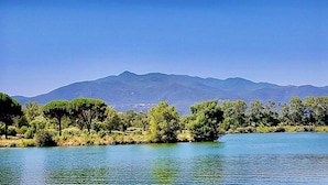 A calm lake with trees and mountains in the background.