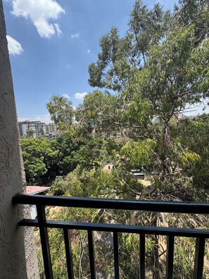 Property grounds - Chi Denise luxurious 2brapartment in a serene and quiet neighborhood in Nairobi (Nairobi)