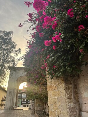 Ulkoalueet