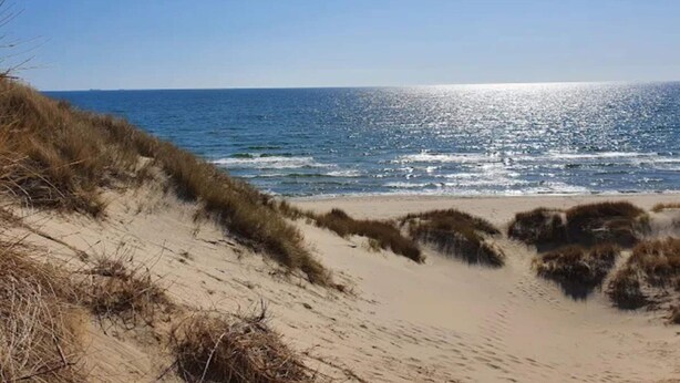 A beach with sand dunes and the ocean. - 4 Star Holiday Home in Albaek (Aalbaek)