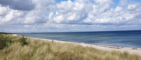 單棟房屋 | 水景