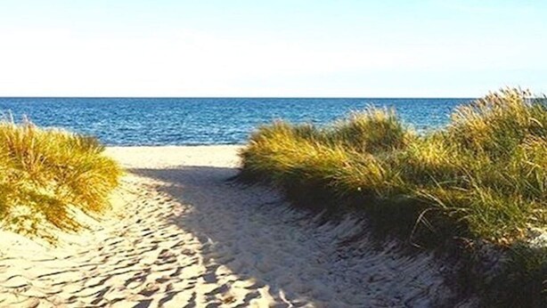 A sandy beach path with grass on either side leading to the ocean. - 5 Person Holiday Home in Vaeggerlose (Vaeggerlose)