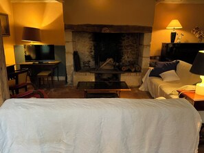 TV, fireplace, ping pong, books