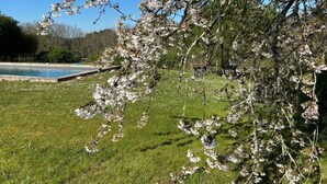 Un jardín con árboles florecientes y una piscina.