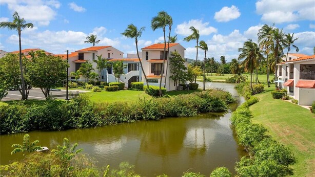 A residential area with houses, a pond, and palm trees.