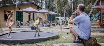 Chalet Near Antwerp With Nature Trails