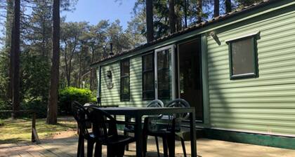 Scenic Chalet in Antwerp Tranquil Forest