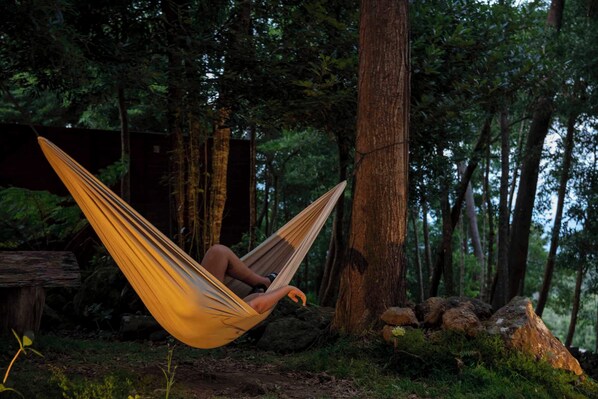 Property grounds - (Lodge Vista Floresta) (Praia da Vitória, Ilha Terceira)