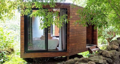 (Lodge Vista Floresta)