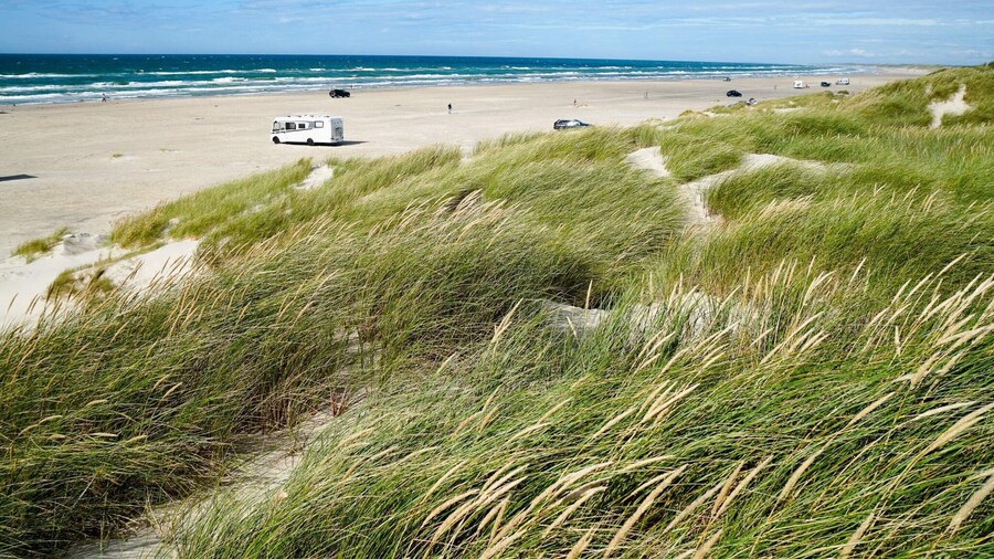 6 Person Holiday Home in Pandrup