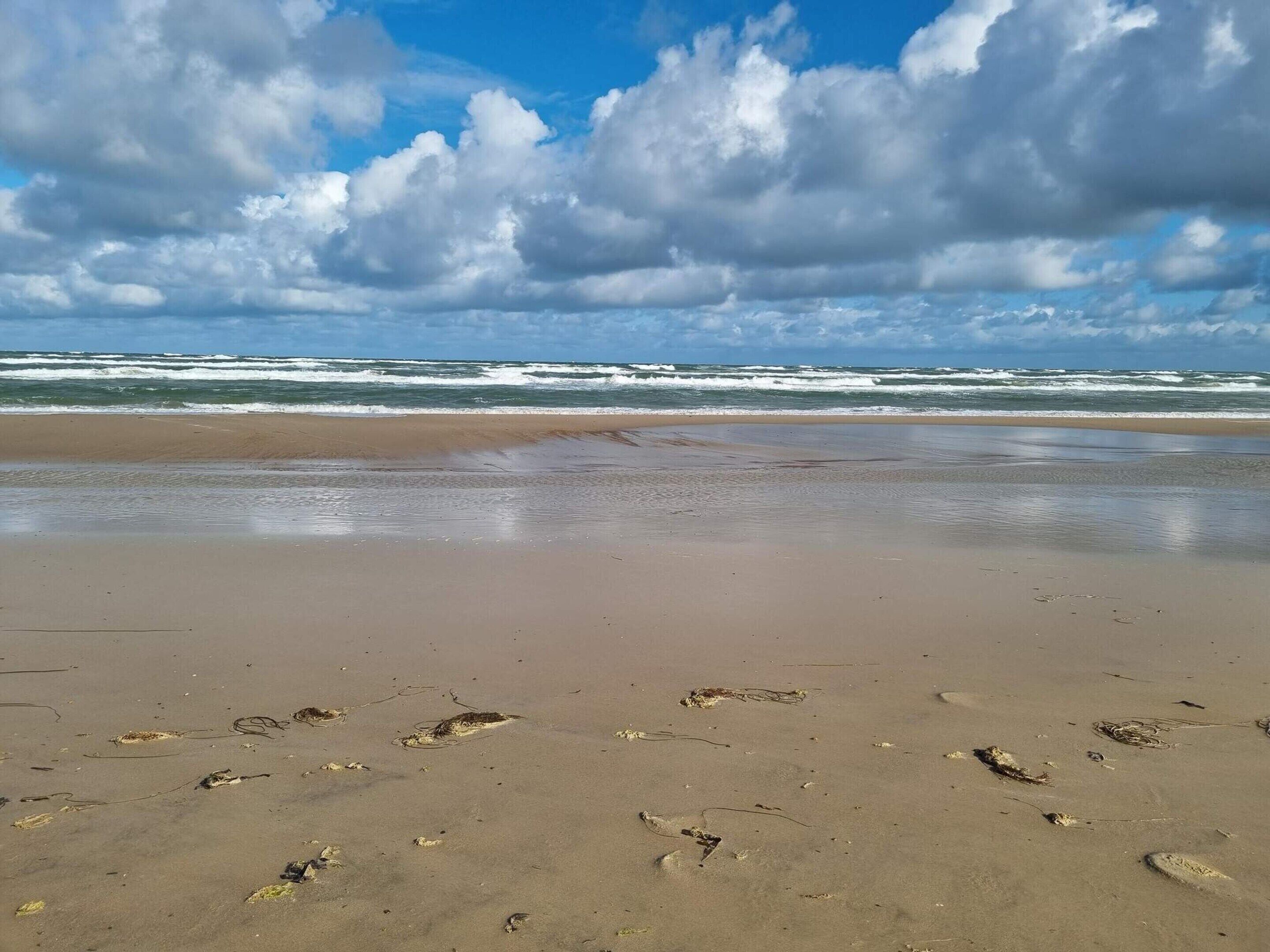 A beach with footprints and waves in the background.
