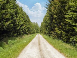 單棟房屋 | 其他設施