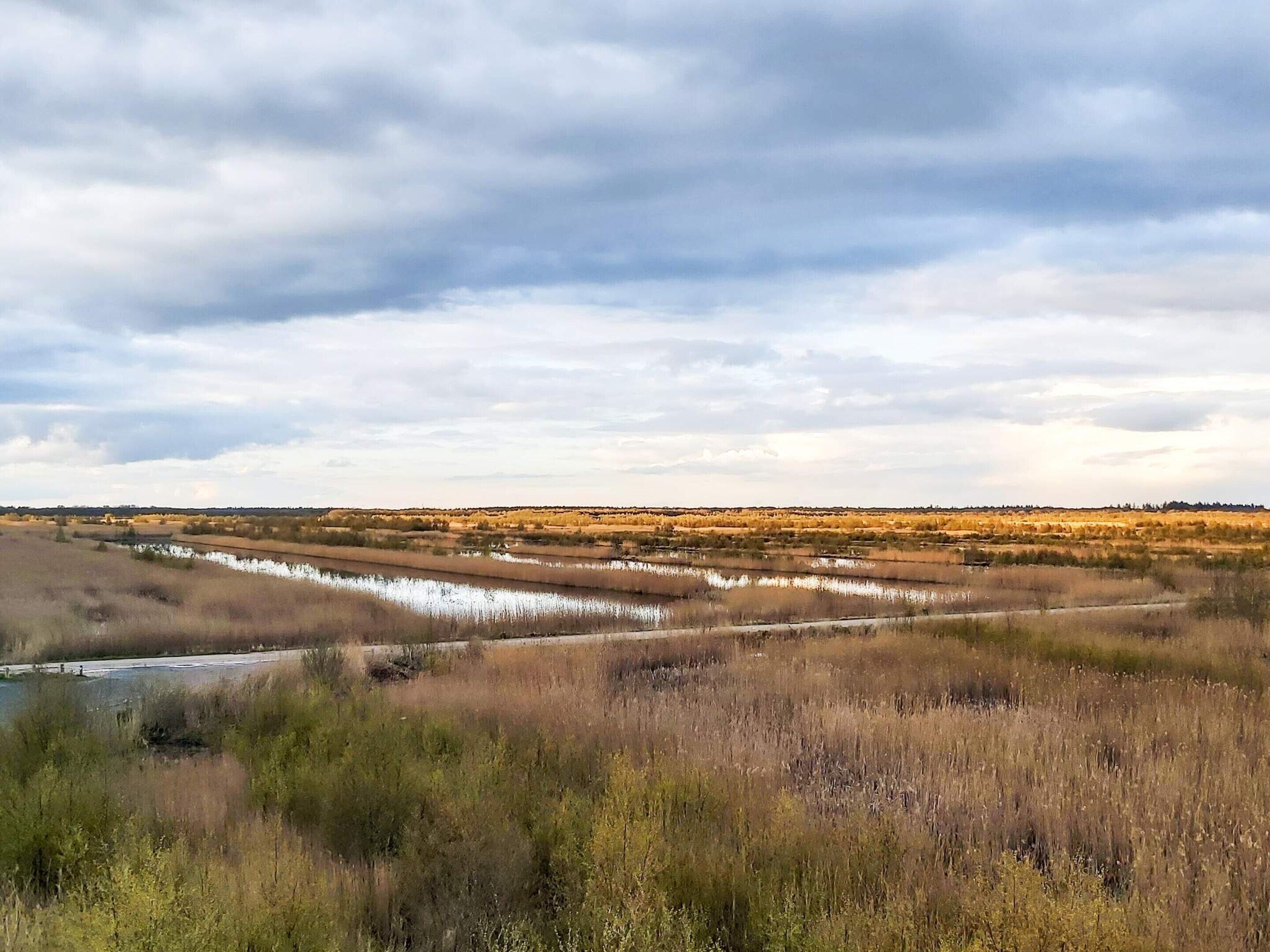 Une rivière serpente à travers un paysage plat, où la végétation est clairsemée et le ciel est nuageux.