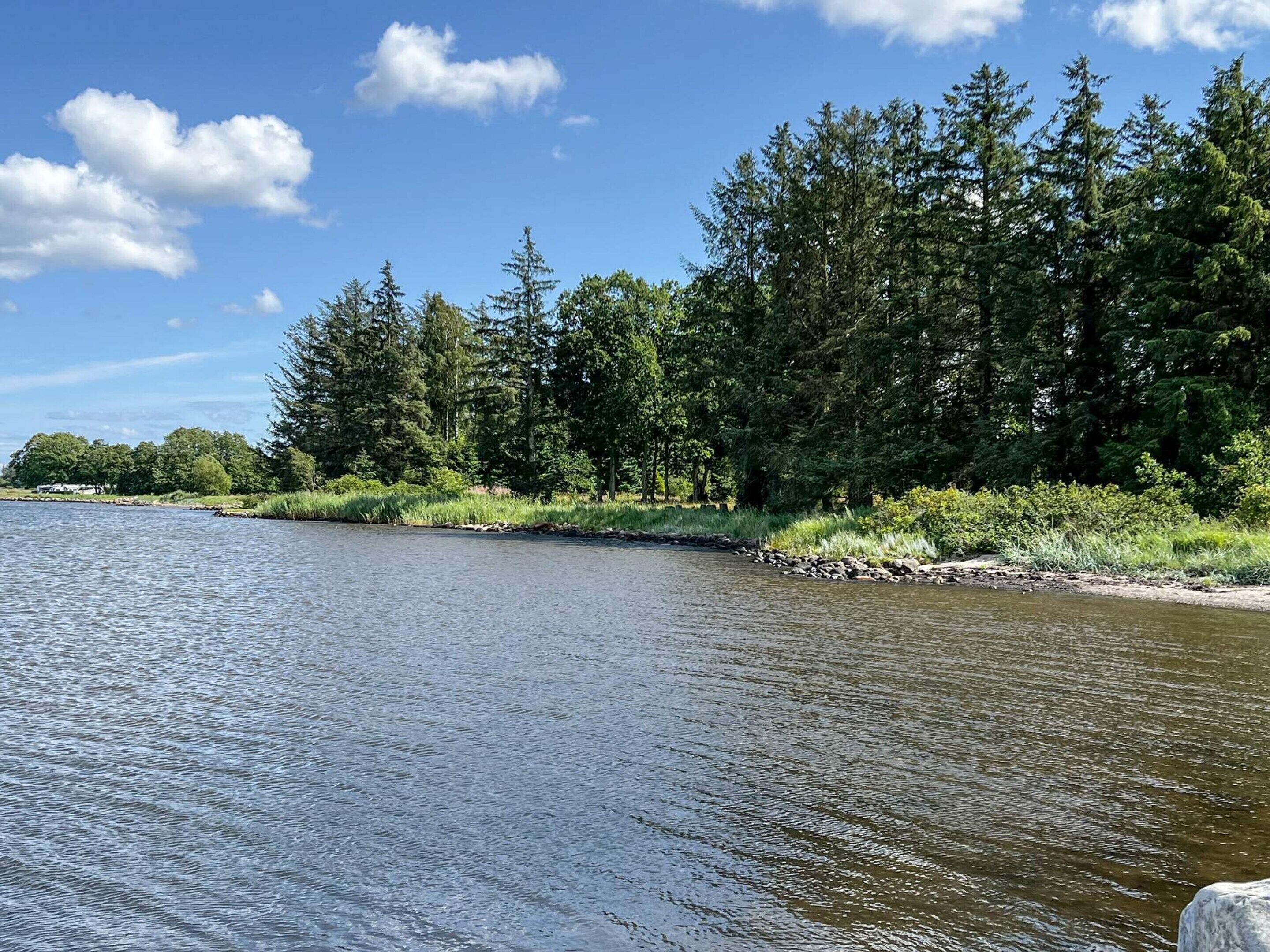 A river with dense forest on one side and a clear sky.