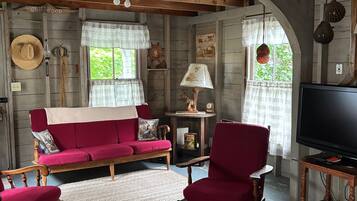 Smart TV, books, video library