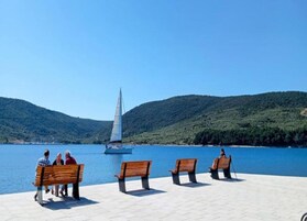 Vista desde la propiedad