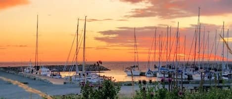 House | Marina
