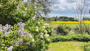 Un jardin où s’épanouissent des arbustes de lilas, un ciel dégagé et, au loin, un champ jaune.