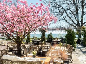 House | Outdoor dining