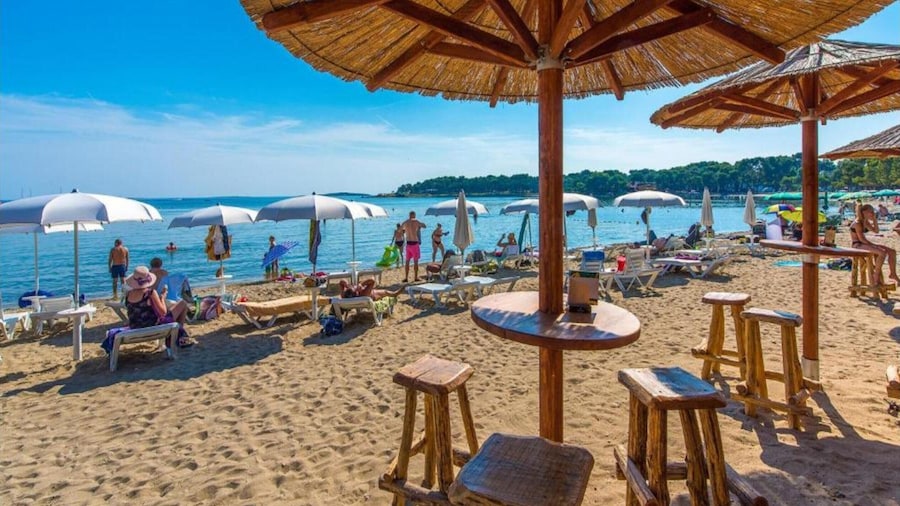 Studio Apartment, 250m From the Beach