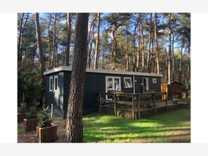 A cabin with a deck, surrounded by trees.