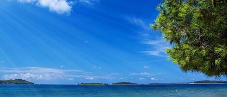 Apartment | Blick von der Unterkunft