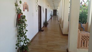 Un pasillo con suelo de madera, paredes blancas y ventiladores de techo. Hay plantas en macetas a lo largo de las paredes y una silla visible a la derecha.