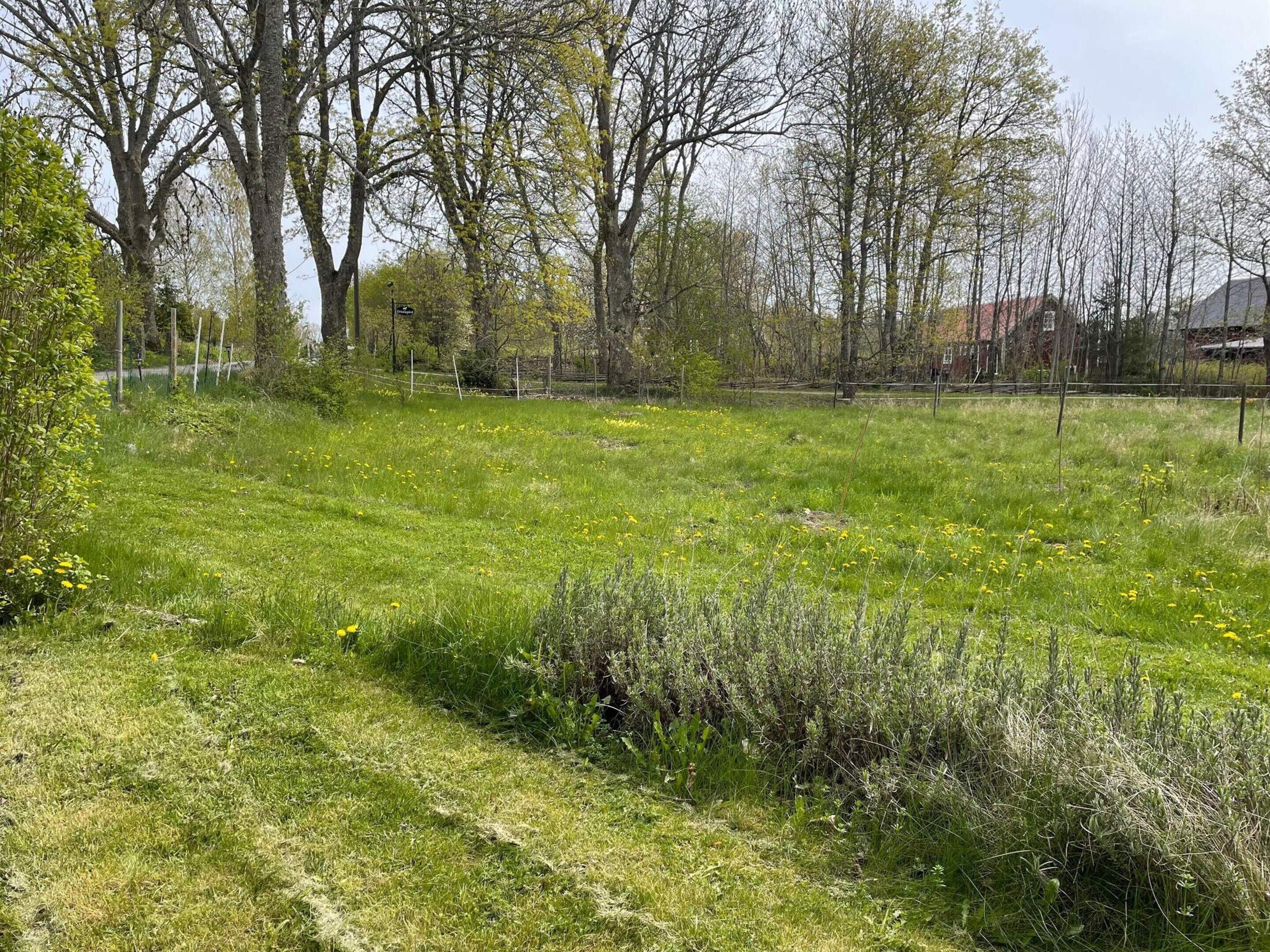 منزل | المنطقة المحيطة بالمنشأة