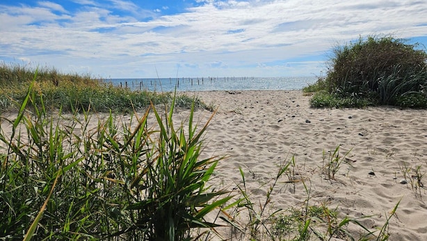 A sandy beach with sparse vegetation and a clear sky.